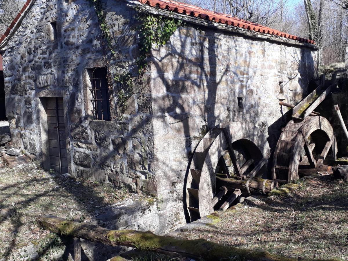 Pensjonat Wine House Rakar Gračišče Zewnętrze zdjęcie