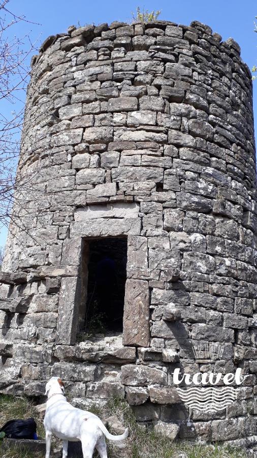 Pensjonat Wine House Rakar Gračišče Zewnętrze zdjęcie