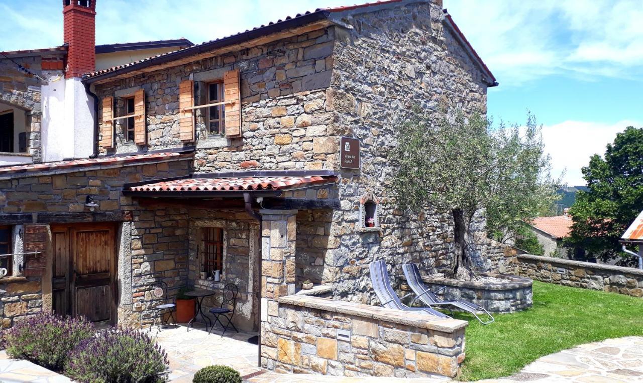 Pensjonat Wine House Rakar Gračišče Zewnętrze zdjęcie