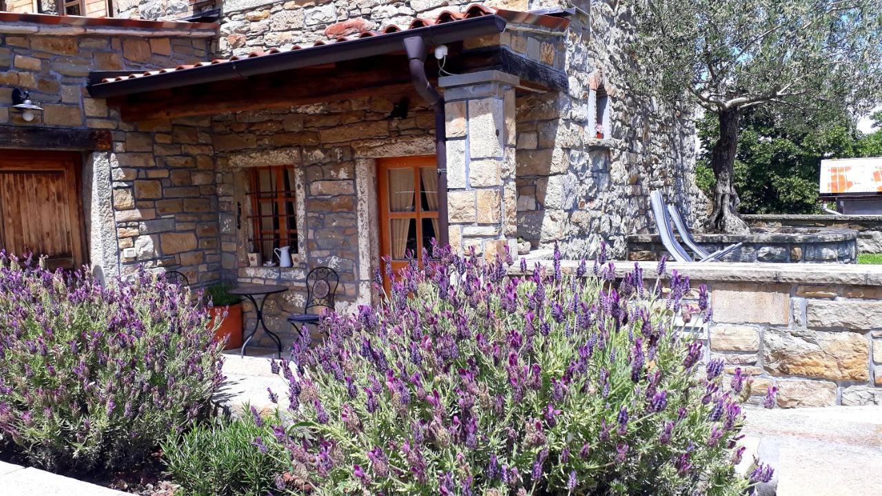 Pensjonat Wine House Rakar Gračišče Zewnętrze zdjęcie