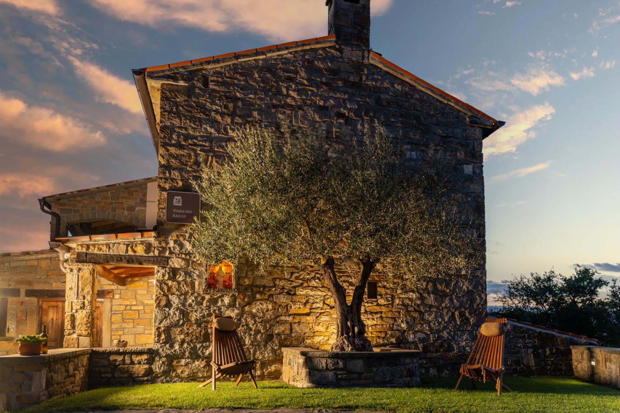 Pensjonat Wine House Rakar Gračišče Zewnętrze zdjęcie