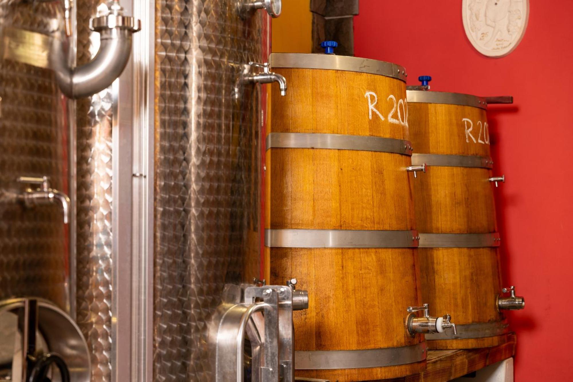 Pensjonat Wine House Rakar Gračišče Zewnętrze zdjęcie