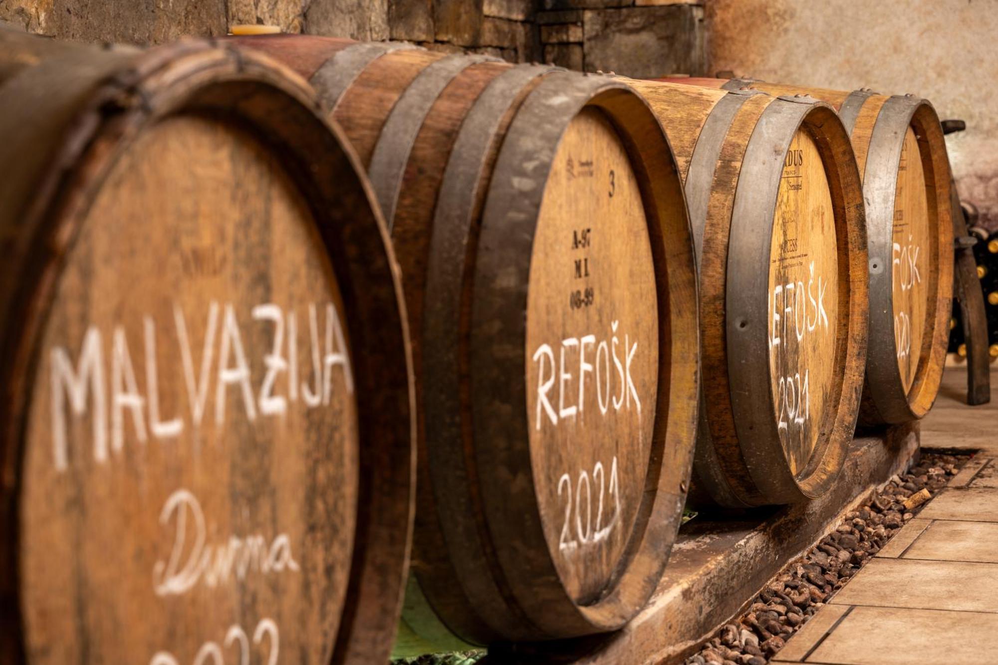 Pensjonat Wine House Rakar Gračišče Zewnętrze zdjęcie