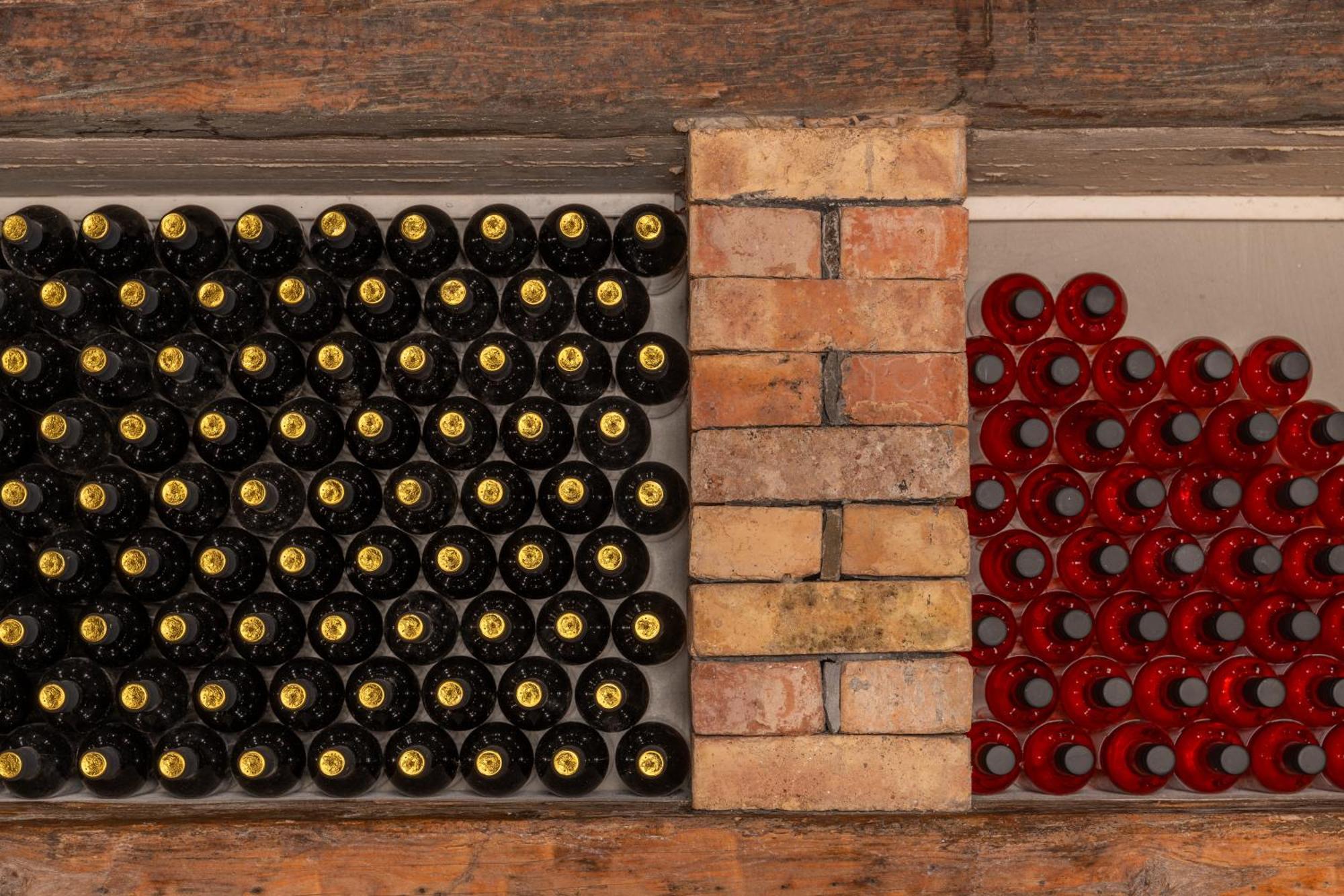 Pensjonat Wine House Rakar Gračišče Zewnętrze zdjęcie