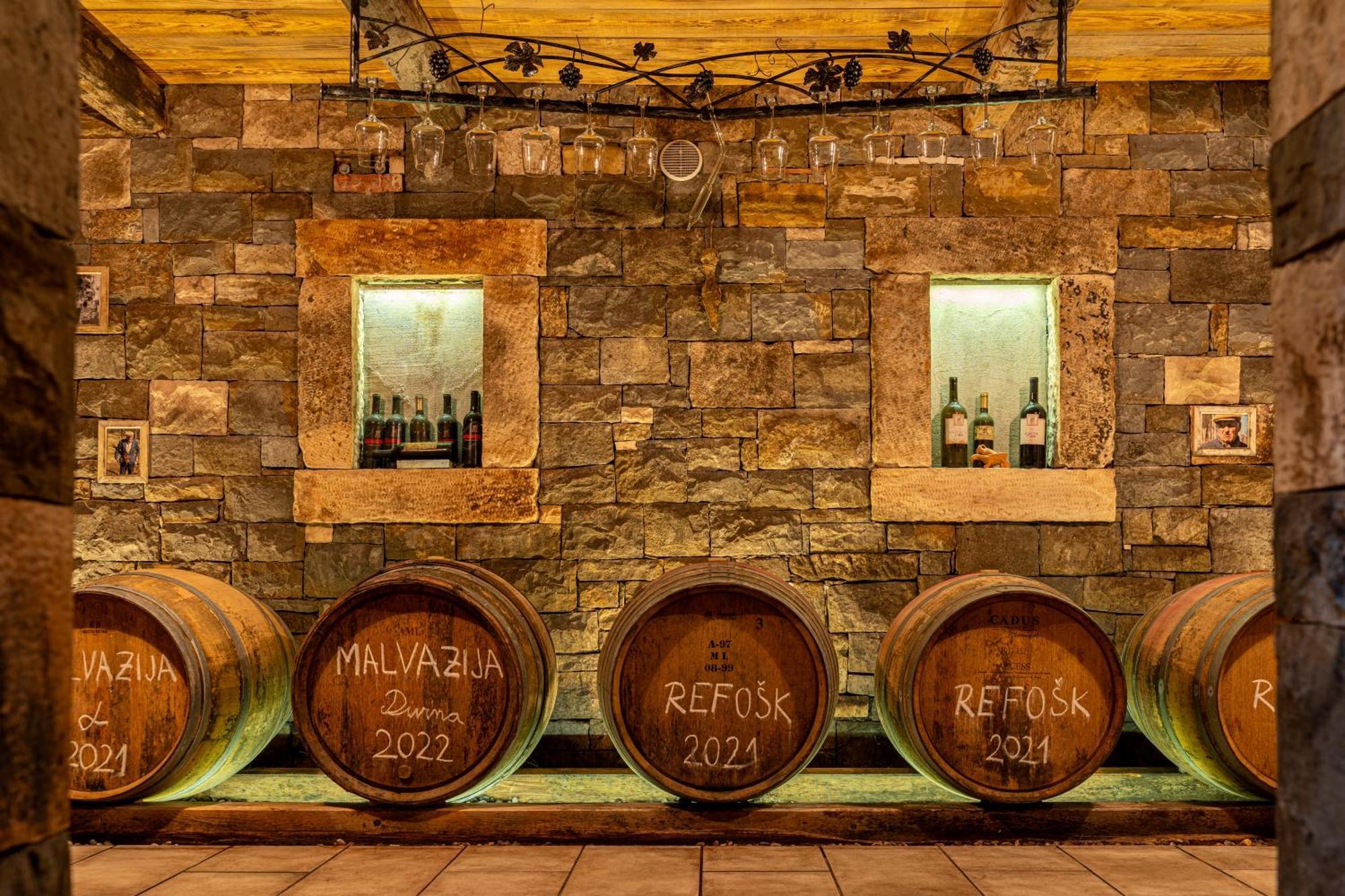 Pensjonat Wine House Rakar Gračišče Zewnętrze zdjęcie