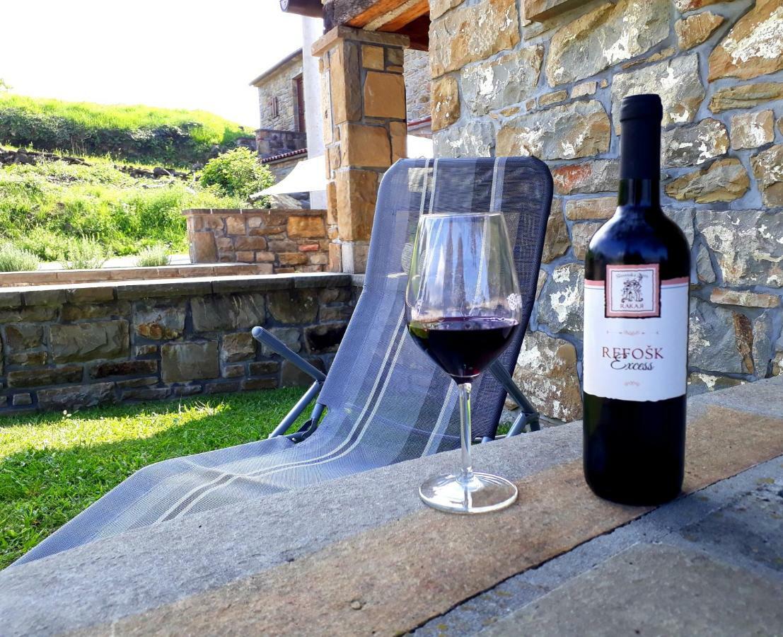 Pensjonat Wine House Rakar Gračišče Zewnętrze zdjęcie