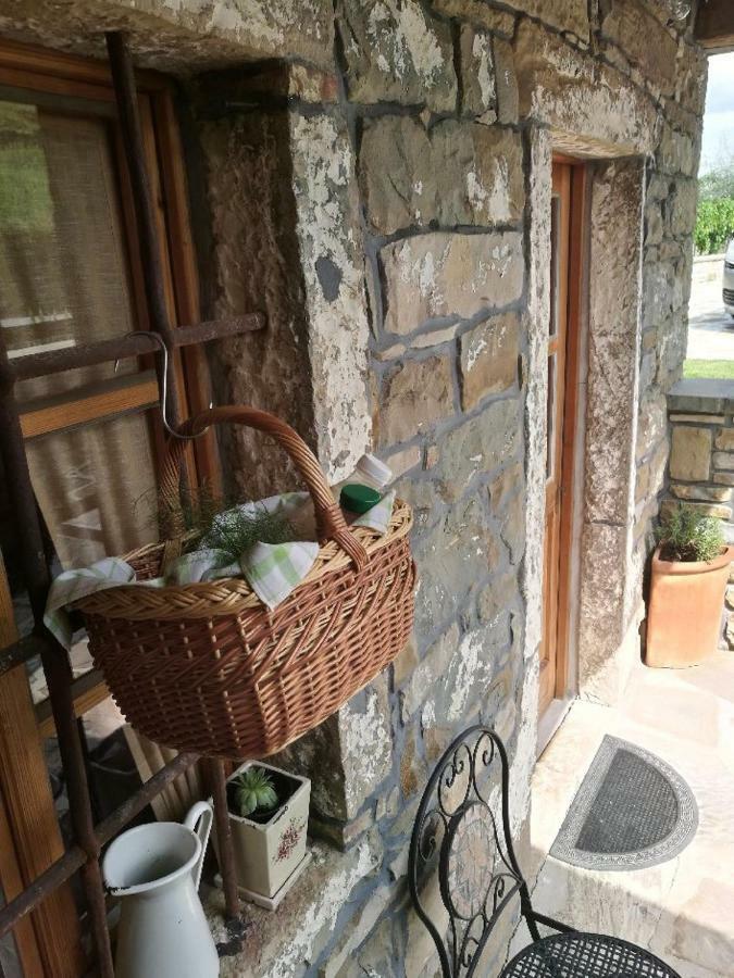 Pensjonat Wine House Rakar Gračišče Zewnętrze zdjęcie